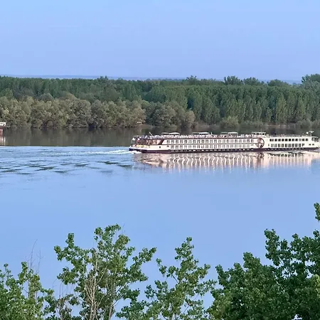 Bamboo Tree Appartamento *