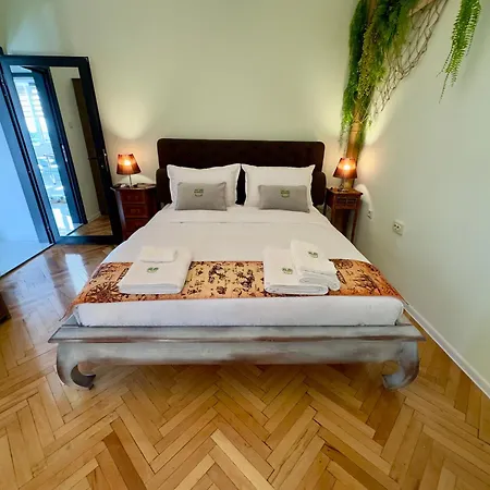 Apartment Bamboo Tree *