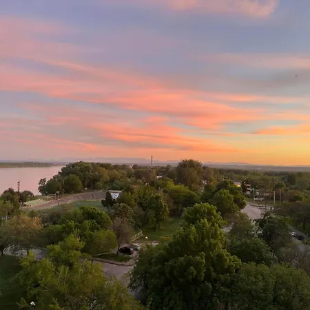 Bamboo Tree Βιδίνιο