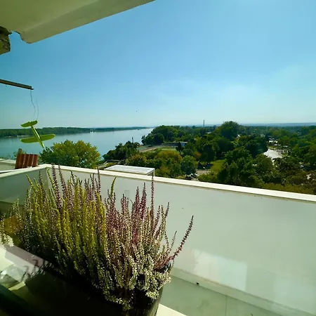 דירה Bamboo Tree *