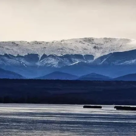 Διαμέρισμα Bamboo Tree *