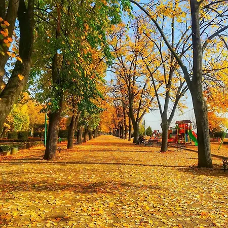 Bamboo Tree * Βιδίνιο