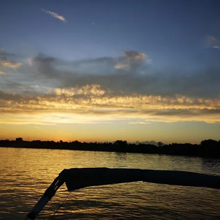 Bamboo Tree Διαμέρισμα Βιδίνιο