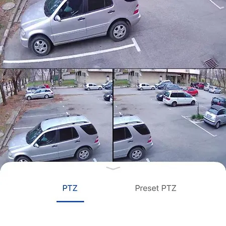 Bamboo Tree * Βιδίνιο