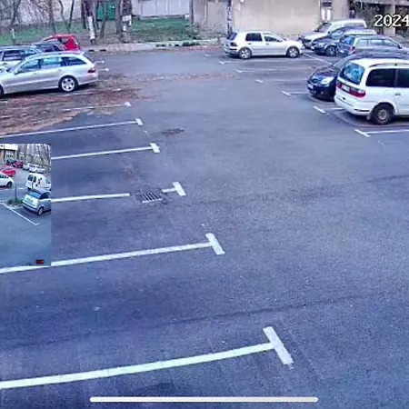 Διαμέρισμα Bamboo Tree *