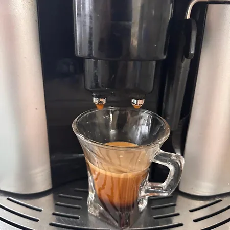 Bamboo Tree Βιδίνιο