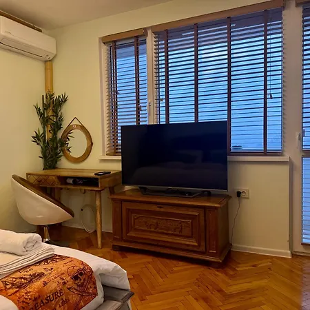 Bamboo Tree Appartamento Vidin