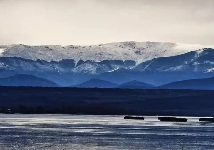 Appartamento Bamboo Tree *