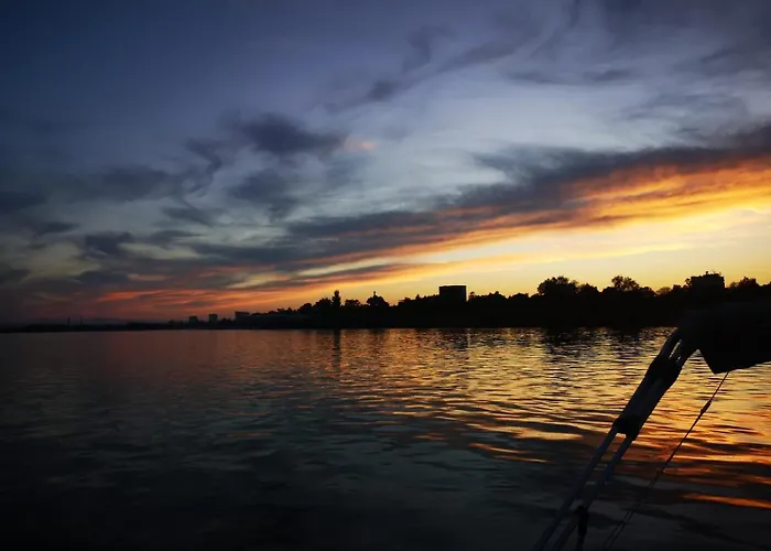 Bamboo Tree Apartamento