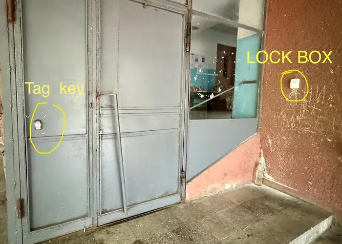 Bamboo Tree Apartamento *