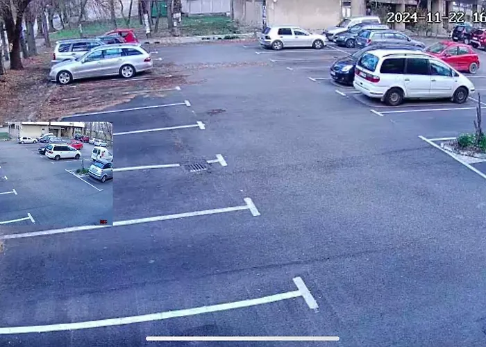 Apartamento Bamboo Tree *